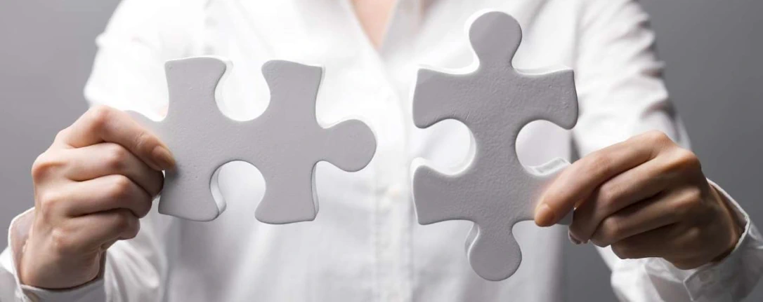 Integration puzzle