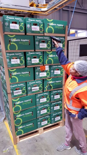 Pallet scanning